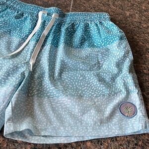 Chubbies Men’s Blue Patterned Swim Shorts